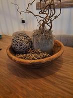 Olijfbak 50x13 cm met of zonder inhoud ptmd pot 23 cm hoog, Ophalen, Overige materialen, Overige kleuren, Zo goed als nieuw