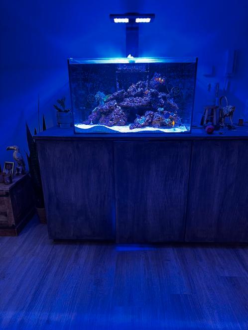Zeer net zee aquarium, Dieren en Toebehoren, Vissen | Aquaria en Toebehoren, Zo goed als nieuw, Gevuld zeewateraquarium, Ophalen of Verzenden
