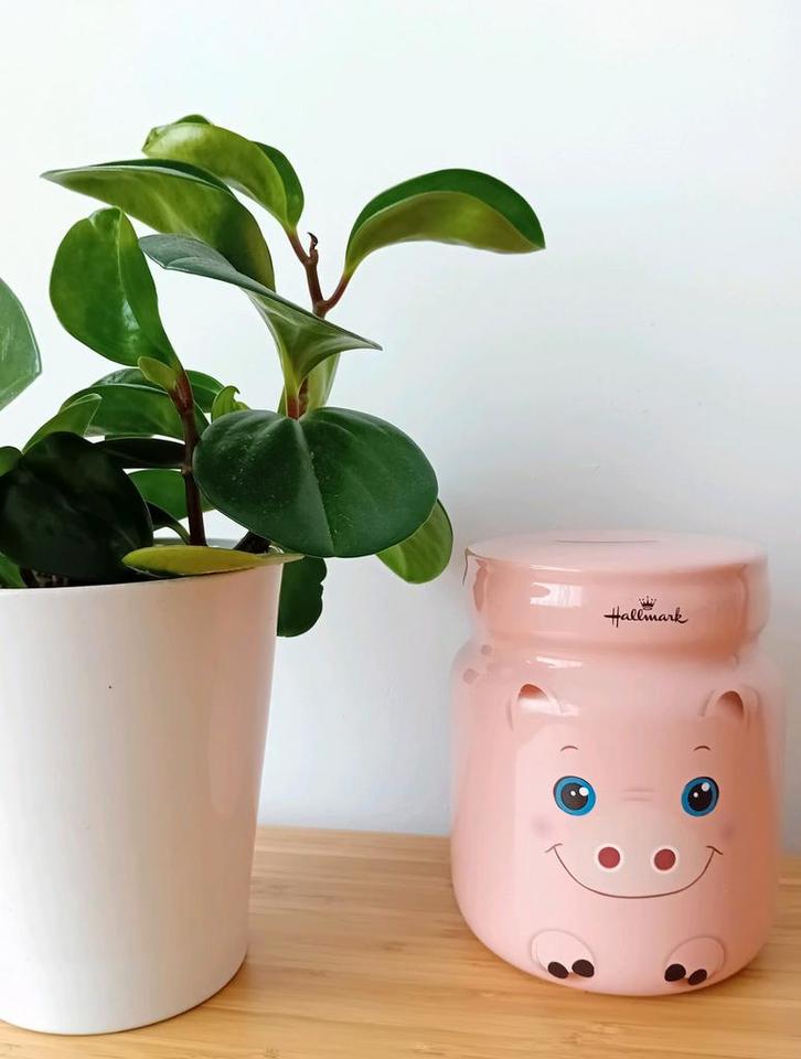 Hallmark moneybank varken, roze, Verzamelen, Spaarpotten, Zo goed als nieuw, Dier, Ophalen of Verzenden