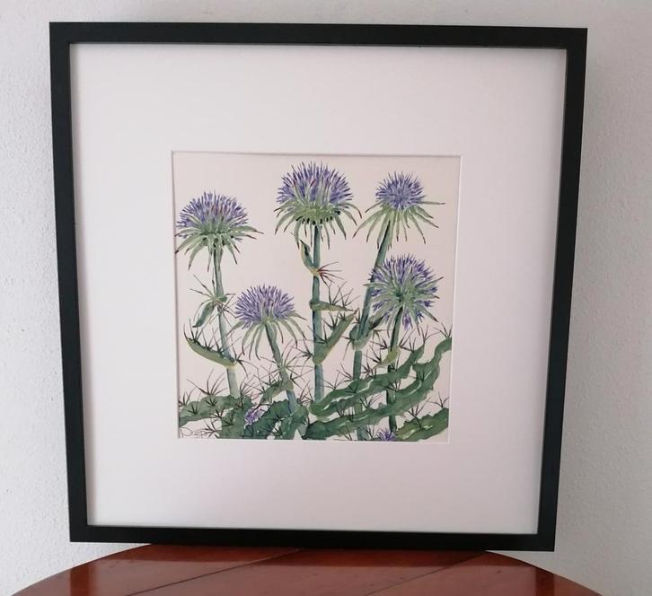 Schilderij Distels 50 x 50 cm., Antiek en Kunst, Kunst | Litho's en Zeefdrukken, Ophalen