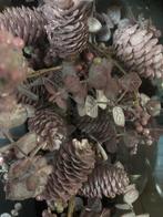 Guirlandes Rivièra Maison, Diversen, Kerst, Ophalen of Verzenden, Nieuw