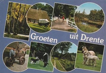 DRENTHE Boer Huifkar Koeien Paarden Groeten beschikbaar voor biedingen