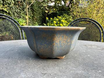 Ronde bonsaischaal met 10 hoeken handgemaakt beschikbaar voor biedingen