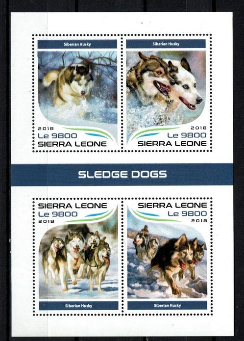 sierra leone 2018 pf blok honden dogs zoogdieren 2, Postzegels en Munten, Postzegels | Thematische zegels, Postfris, Dier of Natuur