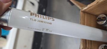 Gebruikte TL lampen 36w 120cm 840 / 6400 beschikbaar voor biedingen