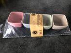 Tapas set, plankje met 4 bakjes, nieuw in verpakking, Huis en Inrichting, Keuken | Servies, Ophalen of Verzenden, Nieuw, Overige stijlen
