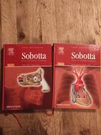 Sobotta Atlas of human anatomy, Boeken, Ophalen of Verzenden, Beta, Zo goed als nieuw, WO