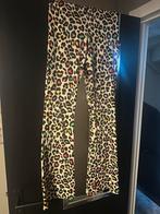 Nieuwe Flair Broek Maat L, Overige kleuren, Maat 42/44 (L), Nieuw, Ophalen of Verzenden