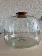 Planten terrarium/glazen stolp met kurkdop+substraat+stenen, Ophalen of Verzenden, Nieuw