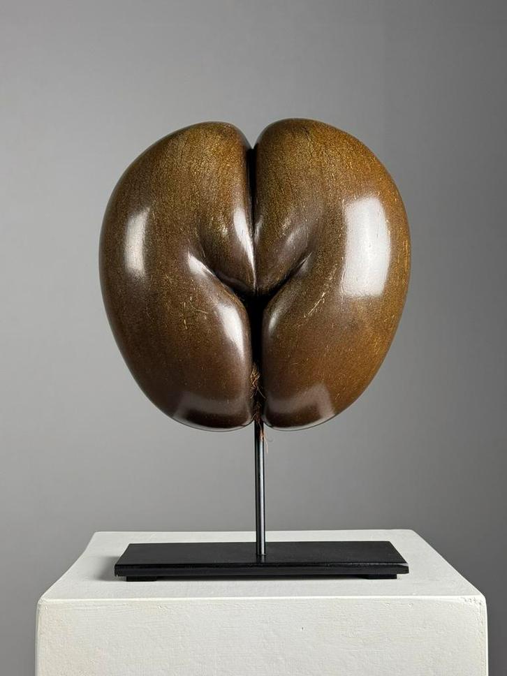 Gepolijste Coco de Mer op standaard, Antiek en Kunst, Curiosa en Brocante, Ophalen