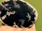 Versteend hout schijf plak dubbel gepolijst mineralen 21, Verzamelen, Mineralen en Fossielen, Ophalen of Verzenden, Mineraal