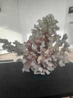 Decoratie Koraal, Richmond Interiors of H&M Home, Ophalen of Verzenden, Zo goed als nieuw