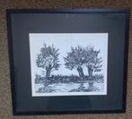 Inkt tekening Knotwilgen gesigneerd, Antiek en Kunst, Ophalen of Verzenden