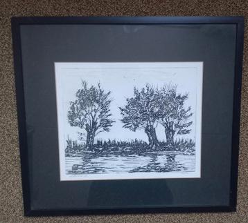 Inkt tekening Knotwilgen gesigneerd beschikbaar voor biedingen