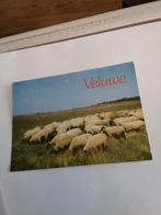 VELUWE.  SCHAPEN. 1989, Ophalen of Verzenden, 1940 tot 1960, Gelderland