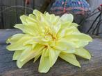 Partij nieuwe kunstbloemen versiering/ bruiloft/ decoratie, Huis en Inrichting, Woonaccessoires | Kunstplanten en Kunstbloemen