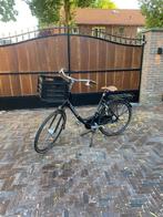 Gazelle Bloom, Ophalen, 2 zitjes, Gazelle, 53 tot 56 cm