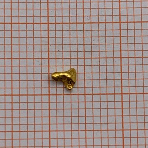 Goud Nugget Specimen uit Alaska, Postzegels en Munten, Edelmetalen en Baren, Goud, Ophalen of Verzenden