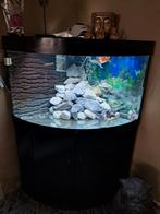 Hoek Aquarium 190 liter trigon, Dieren en Toebehoren, Vissen | Aquaria en Toebehoren, Ophalen, Gebruikt, Leeg aquarium