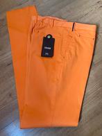 PT01 Colours stretch broek/chino NIEUW maat 52, Maat 52/54 (L), PT01, Beige, Nieuw