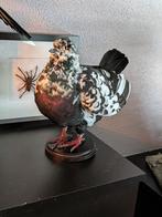 King duif taxidermie, Ophalen of Verzenden, Nieuw, Opgezet dier