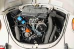 Volkswagen Kever Cabriolet | Uitvoerig Gerestaureerd | Topst, Achterwielaandrijving, Cabriolet, Wit, Bedrijf