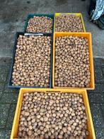 Walnoten gedroogd 2025, Ophalen of Verzenden