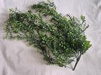 Kunstplant groen, Ophalen of Verzenden, Binnen