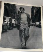 James Dean vlag, Ophalen of Verzenden