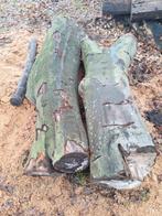 Beukestammen 60cm diameter, 220-240cm, Ophalen of Verzenden, Palen