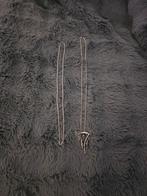 Exclusieve RVS ketting met grim reaper hanger stoer en uniek, Ophalen, Nieuw, Zilver, Overige materialen