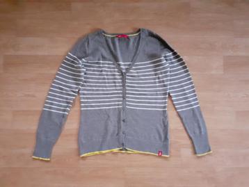 Gratis* grijs gestreept vestje Esprit EDC maat S beschikbaar voor biedingen