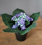 Mini kunsthortensia /kunstbloemen /kunstplant
B 18 x H 14 cm, Huis en Inrichting, Ophalen of Verzenden, Zo goed als nieuw