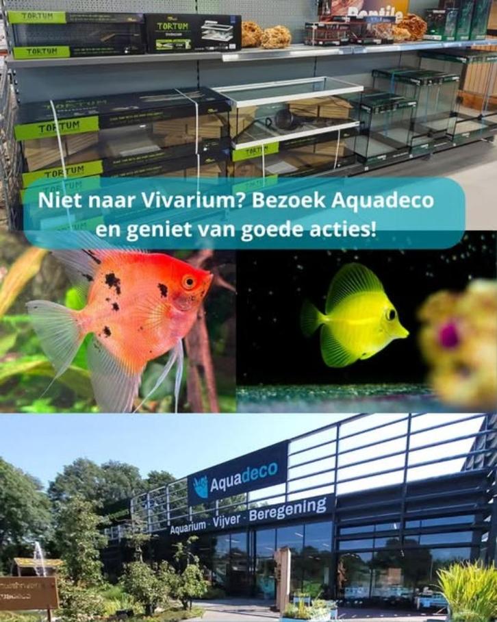 Vivarium Aquadeco, Dieren en Toebehoren, Reptielen en Amfibieën | Toebehoren, Nieuw, Ophalen