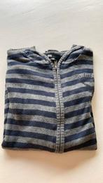 vest streep patroon in maat 134, Ophalen of Verzenden, Jongen, Trui of Vest