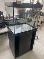 Eheim aquarium 150 liters with cabinet and extra material (a, Dieren en Toebehoren, Vissen | Aquaria en Toebehoren, Ophalen, Gebruikt