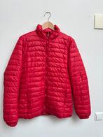 Airforce puffer jas – rood – damesmaat XL – vlekken foto’s, Airforce, Maat 46/48 (XL) of groter, Ophalen of Verzenden, Zo goed als nieuw