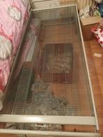 Gratis logeer bed, Diversen, Ophalen, Gebruikt