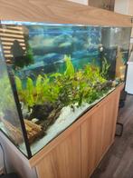 Juwel aquarium  met kast 121cm binnen en buiten filter, Ophalen, Zo goed als nieuw, Gevuld zoetwateraquarium