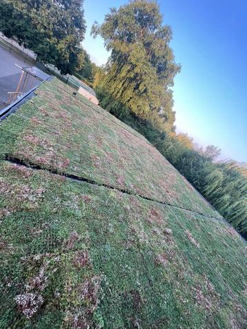 Cedum cassettes voor op het dak 220m² beschikbaar beschikbaar voor biedingen