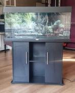 TEAB Aquarium Juwel - Zwart 100x50x40 + Kast & Toebehoren, Dieren en Toebehoren, Vissen | Aquaria en Toebehoren, Ophalen, Zo goed als nieuw