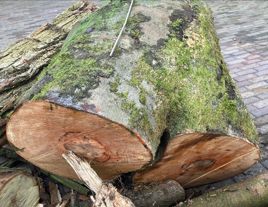 Beuk beuken stam bol 1,30x0,9 meter boom planken kachel sier, Minder dan 3 m³, Ophalen of Verzenden, Beukenhout, Stammen