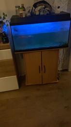 Gratis aquarium, Dieren en Toebehoren, Ophalen, Zo goed als nieuw, Leeg aquarium