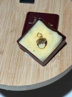 14 karaat gouden schelp hanger met parel., Gebruikt, Ophalen of Verzenden, Met parel, Goud