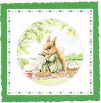opleg rabbit, Verzenden, Nieuw, Dieren, Blanco kaart of Basiskaart