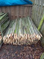 100 dunne gepunte paaltjes van 160cm, Ophalen, Minder dan 180 cm, Palen