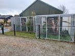 Volieres, Dieren en Toebehoren, Vogels | Hokken en Kooien, Ophalen of Verzenden, Zo goed als nieuw, Aluminium, Volière