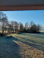 Weidegang weide weiland idyllisch rand  bos 2500 m2 te huur, Weidegang