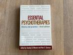 Essential psychotherapies theory and practice, Ophalen of Verzenden, Stanley B. Messer, Zo goed als nieuw, WO