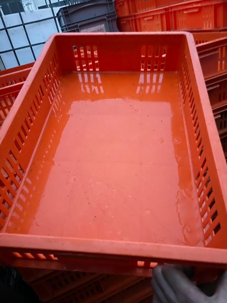 Euro kratten 40x60x13 - 120 stuks, Doe-het-zelf en Verbouw, Kratten en Dozen, Ophalen